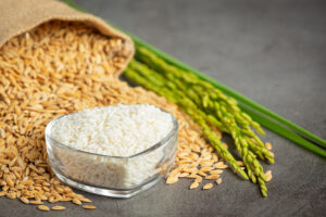 brown rice or white rice for weight loss